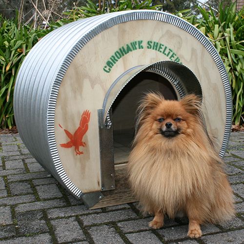 Dog Kennel - Toy Dogs